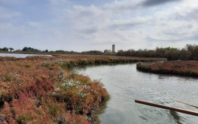 Gita Sociale a TORCELLO